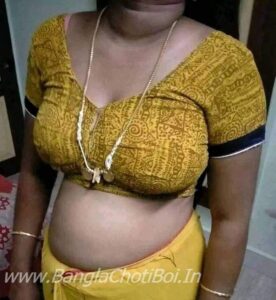 শাশুড়ি ও জামাই চোদনলীলা -  ২